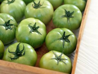 tomates vertes pour les varices